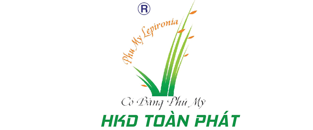 HỘ KINH DOANH TOÀN PHÁT